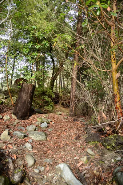 DSC_0911 (Large).JPG